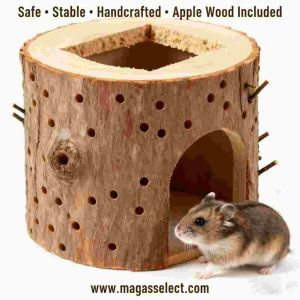 Natural Birch Wood Chew Log for Hamsters | Multi-Hole Stick-Insert Chew Toy