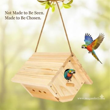 Not Meant to Own, But to Be Chosen