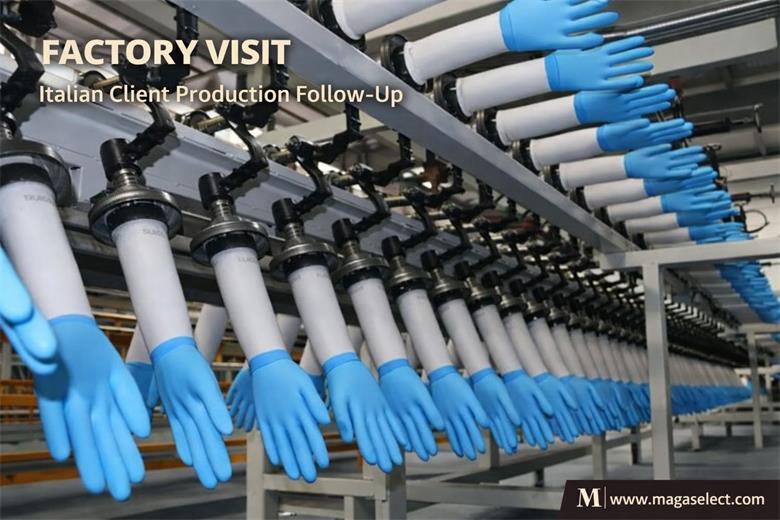 Production Follow-Up for 2 Million Nitrile Medical Gloves Ordered by an Italian Client