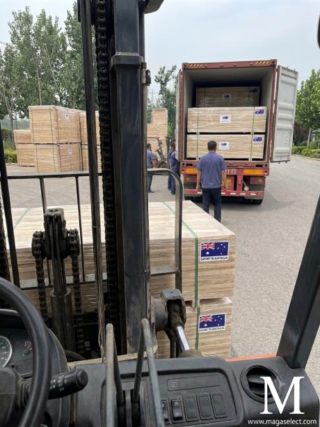 Export Readiness and On-Site Loading Inspection of Paulownia Edge-Glued Panels for the Australian Market